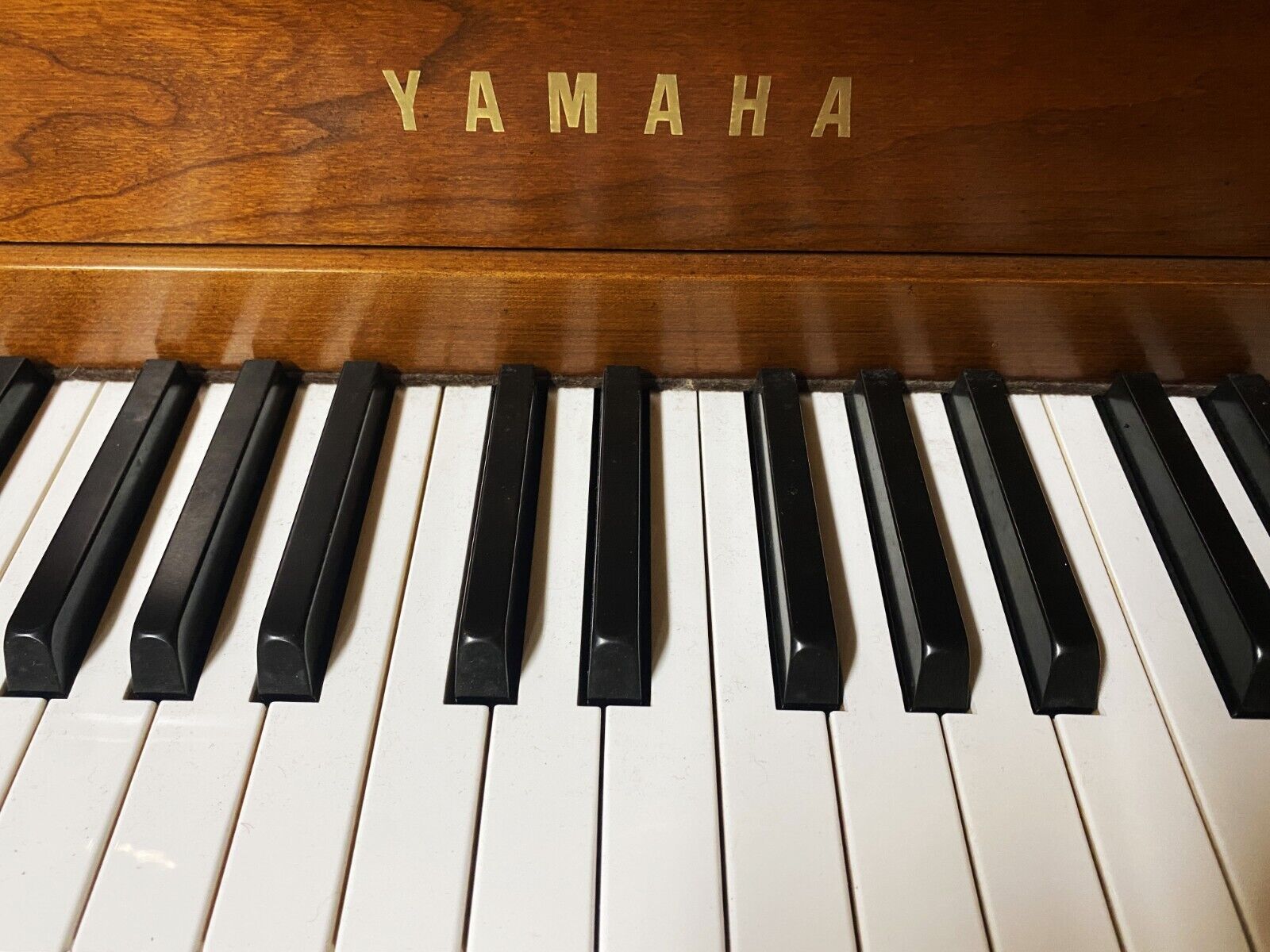 
Unlock The Magic Of Music: Transacoustic Yamaha Piano Review
