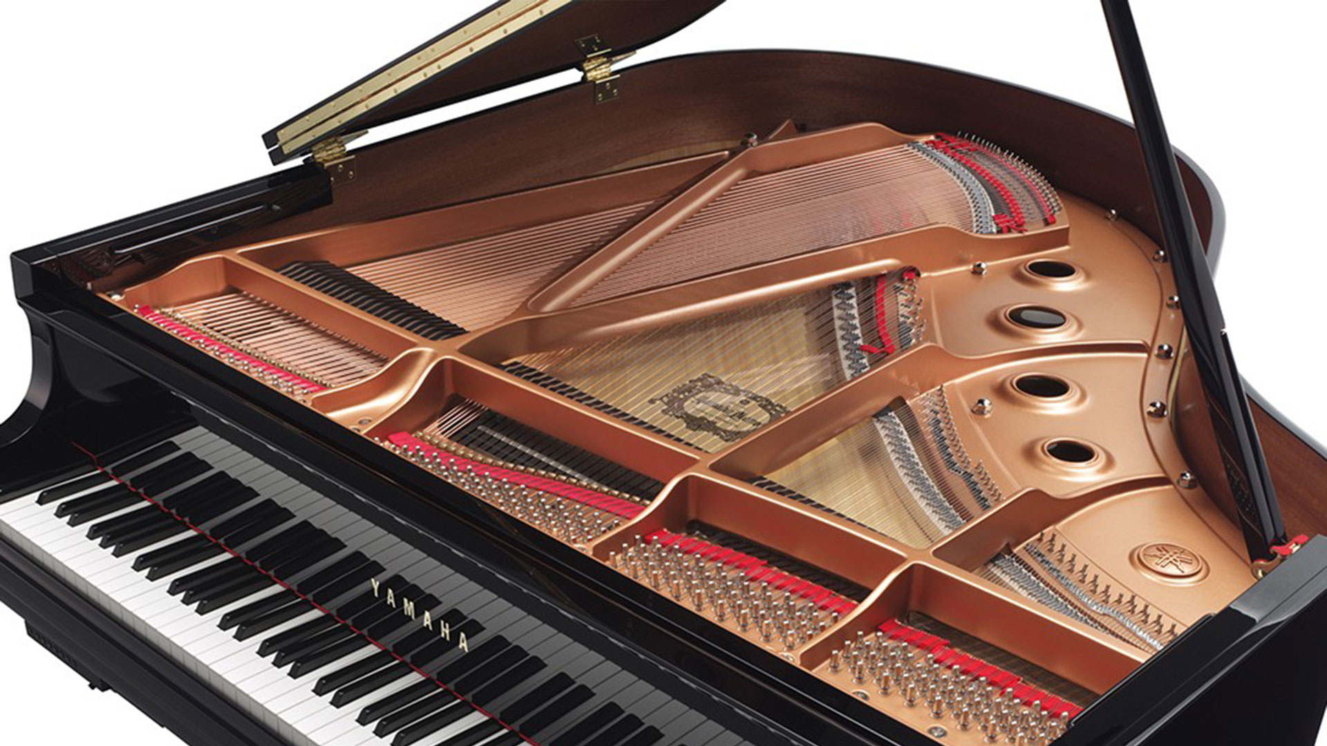 
Yamaha Electronic Piano vs Acoustic Piano: Which One Is Right For You?
