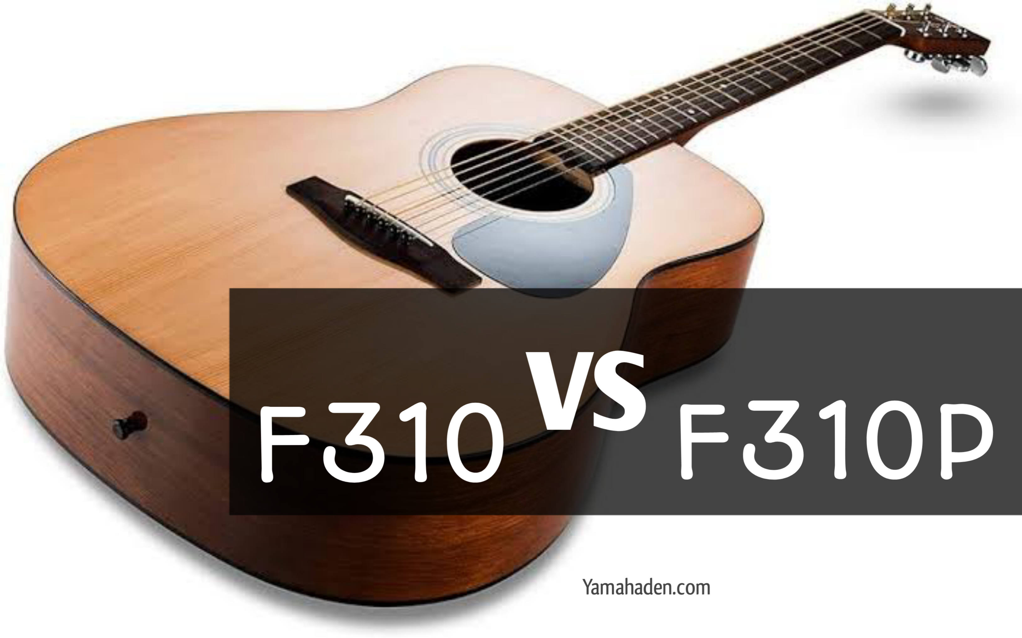 What is the difference between F310 and F310P?