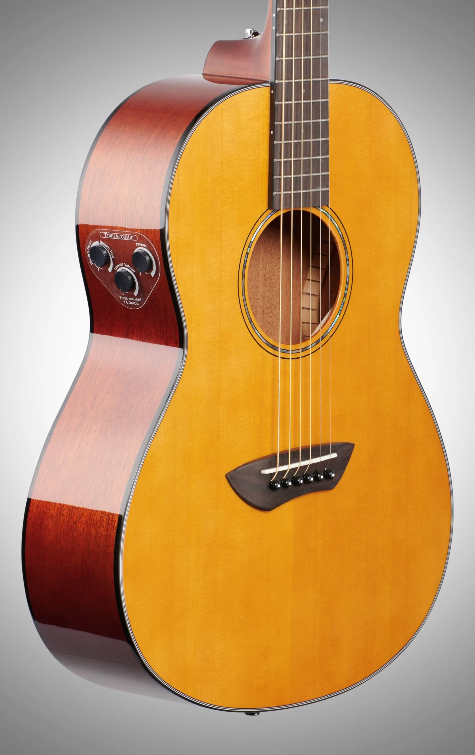 Can You Plug In A Yamaha TransAcoustic Guitar?