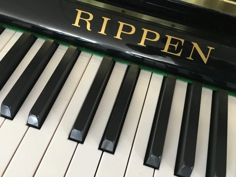 rippen piano brand