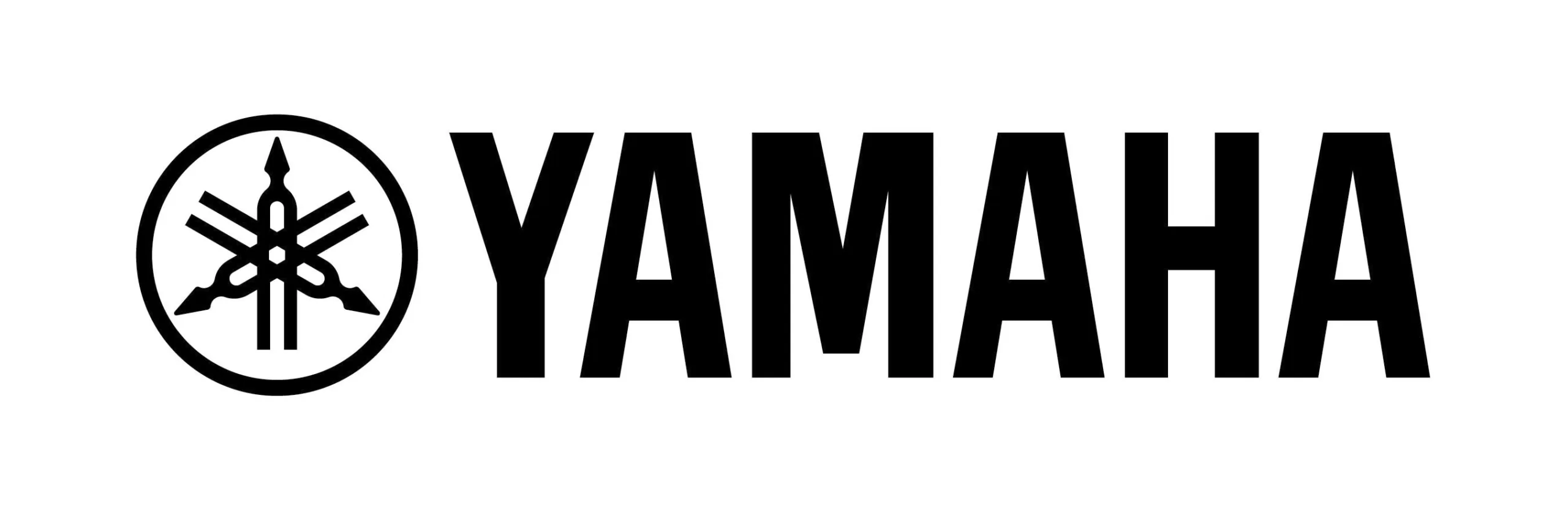 Yamaha Guitar Group Inc.