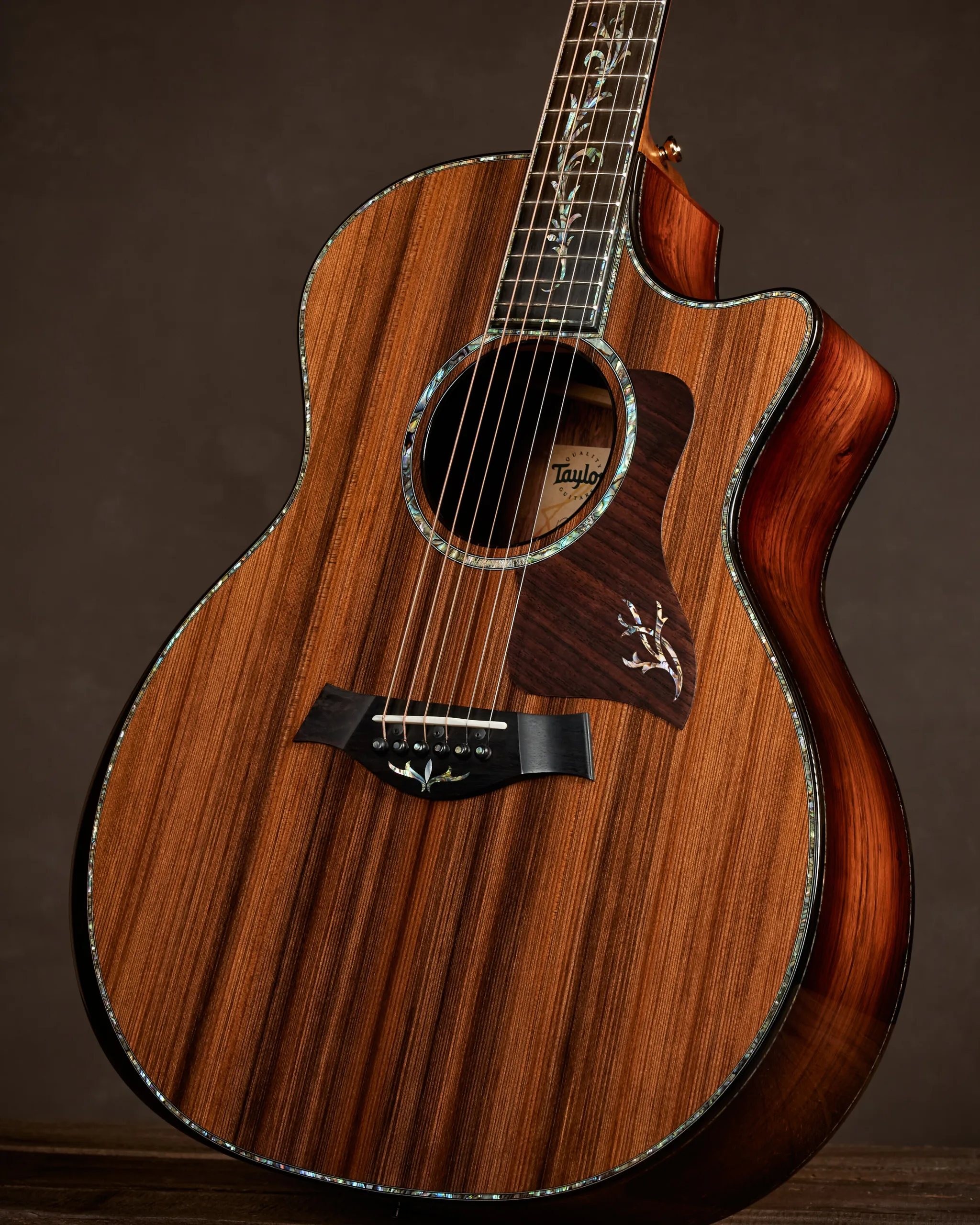 Why Do Taylor Guitars Sound So Good?