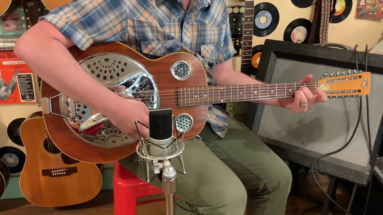 12 string resonator guitar