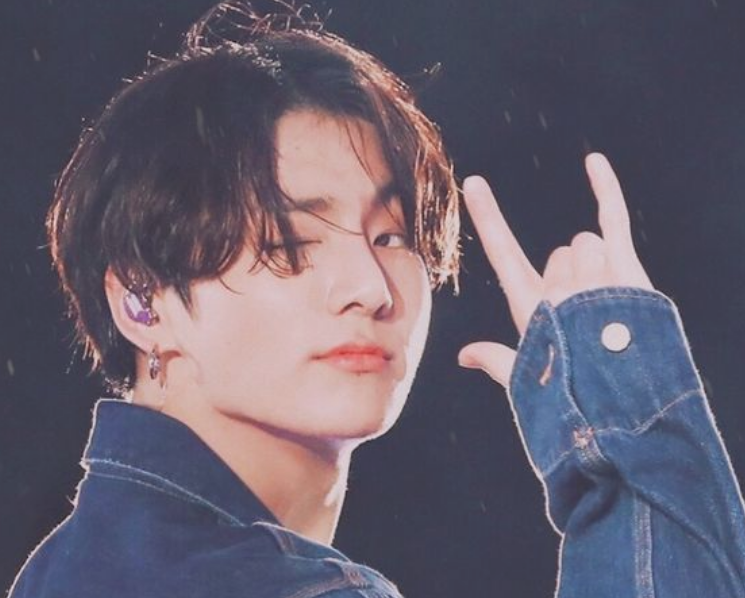 BTS: Who is Jung Kook — ARMY Project 529
