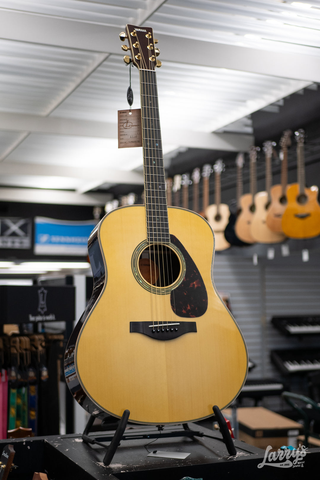 Yamaha LL16 A.R.E.Original Jumbo- Rosewood Back and Sides – Larry's Music &  Sound