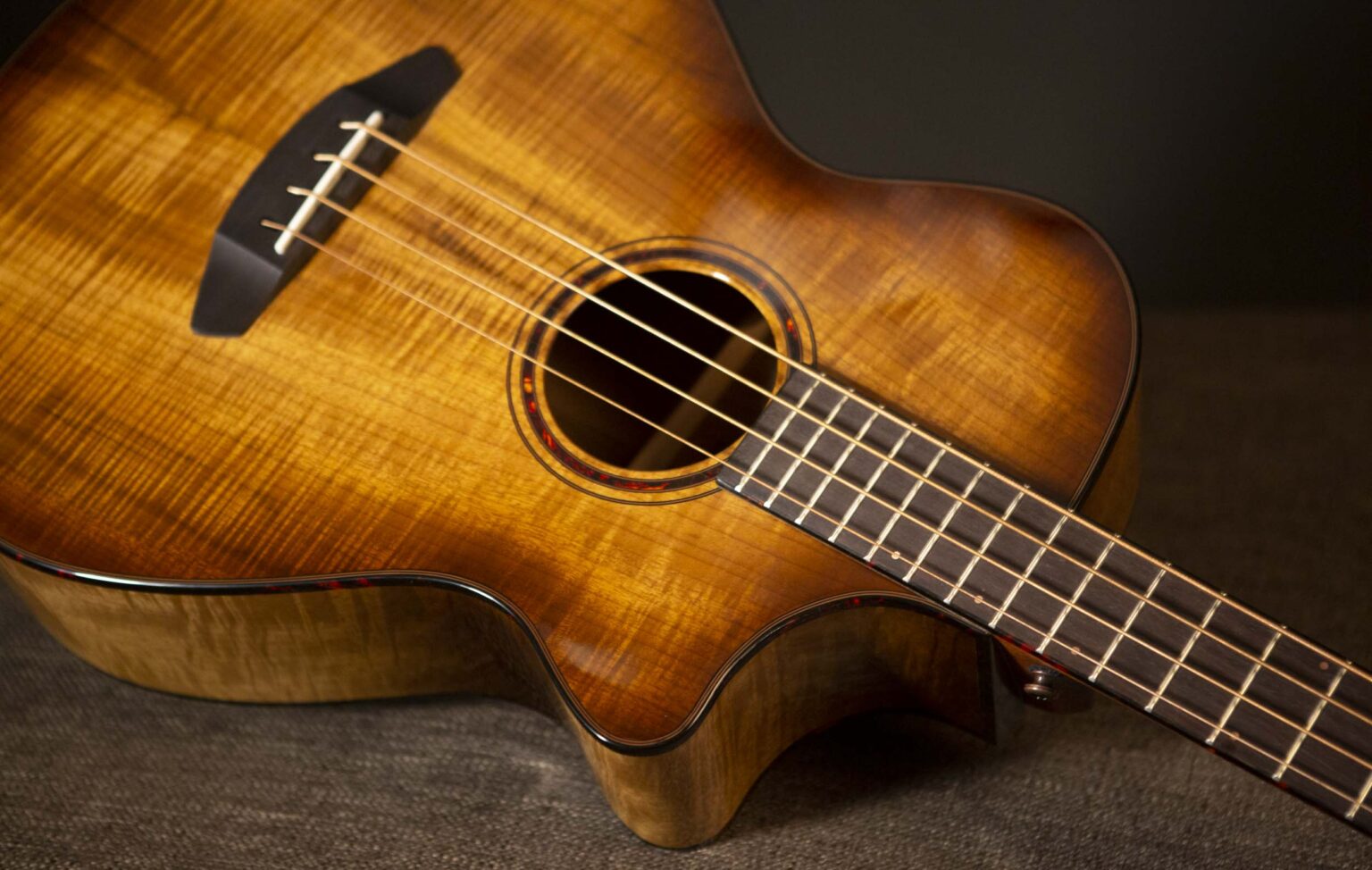 All About the Acoustic Bass Guitar